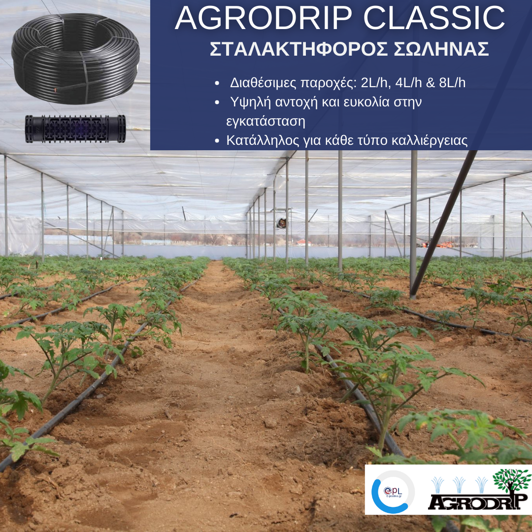 σταλακτυφόρος