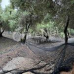 Δίχτυ Μόνιμης Στρώσης 4χ100 Μ