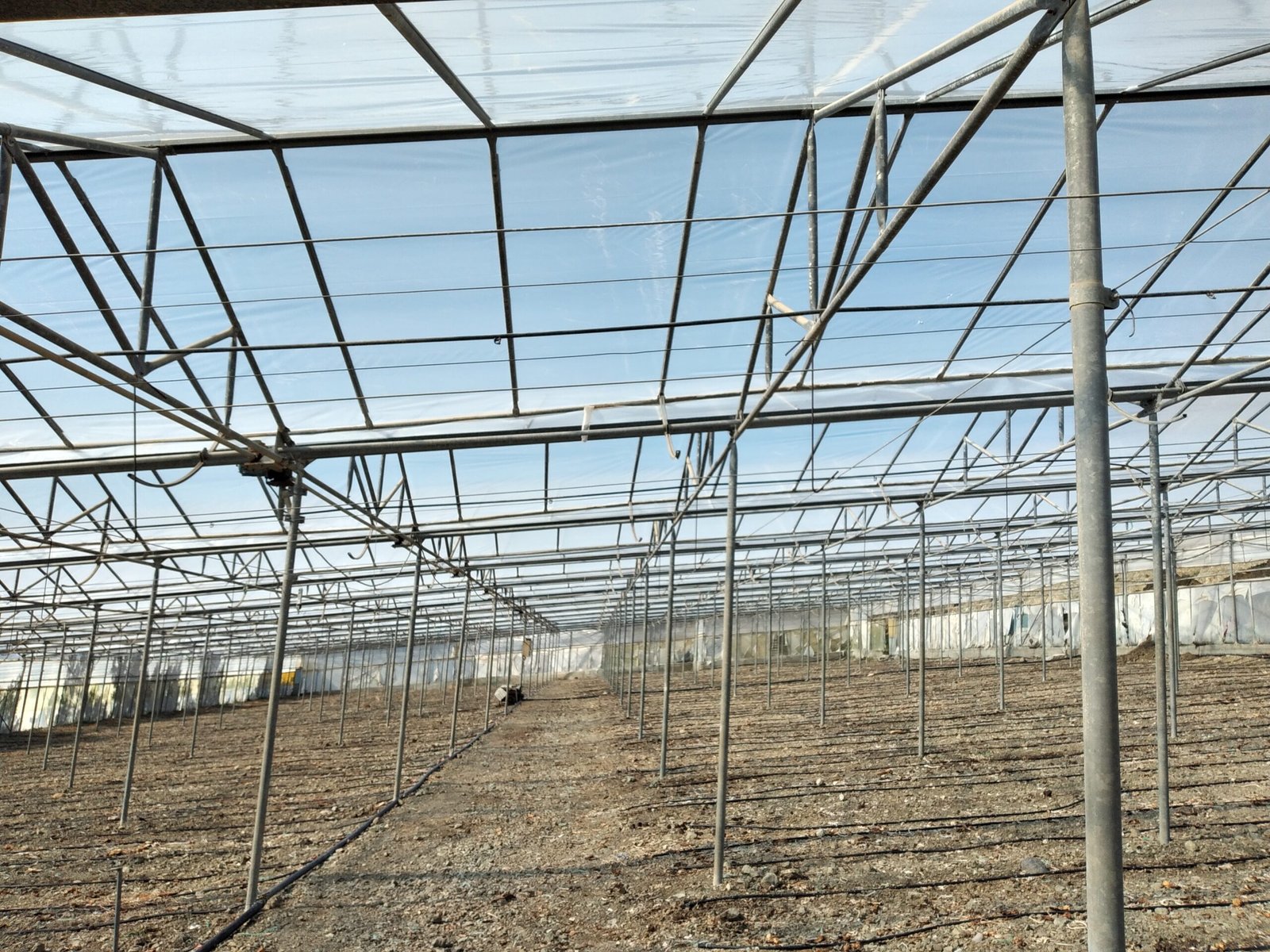 agro4 tuv adam Agro3 Tuv Ad-am 3 χρόνια 180 mic - Image 1