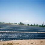 Agrokyperi μαύρο hdpe 40 mic