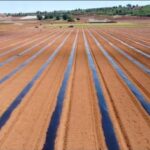 Agro Bio - Μαύρο 15 micron