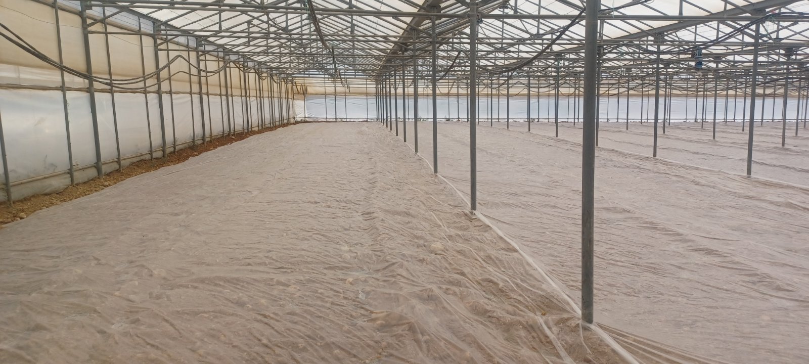 AGROSOL TUV AD 32MIC Agrosol Tuv Ad 150=300/32/420 Θερμικό φιλμ απολύμανσης εδάφους - Image 1