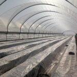 Reysol Ad 30 Mic 7 layers φιλμ απολύμανσης εδάφους