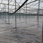 Agrosol UV AD 175=350/25/350 Απλό φιλμ απολύμανσης εδάφους