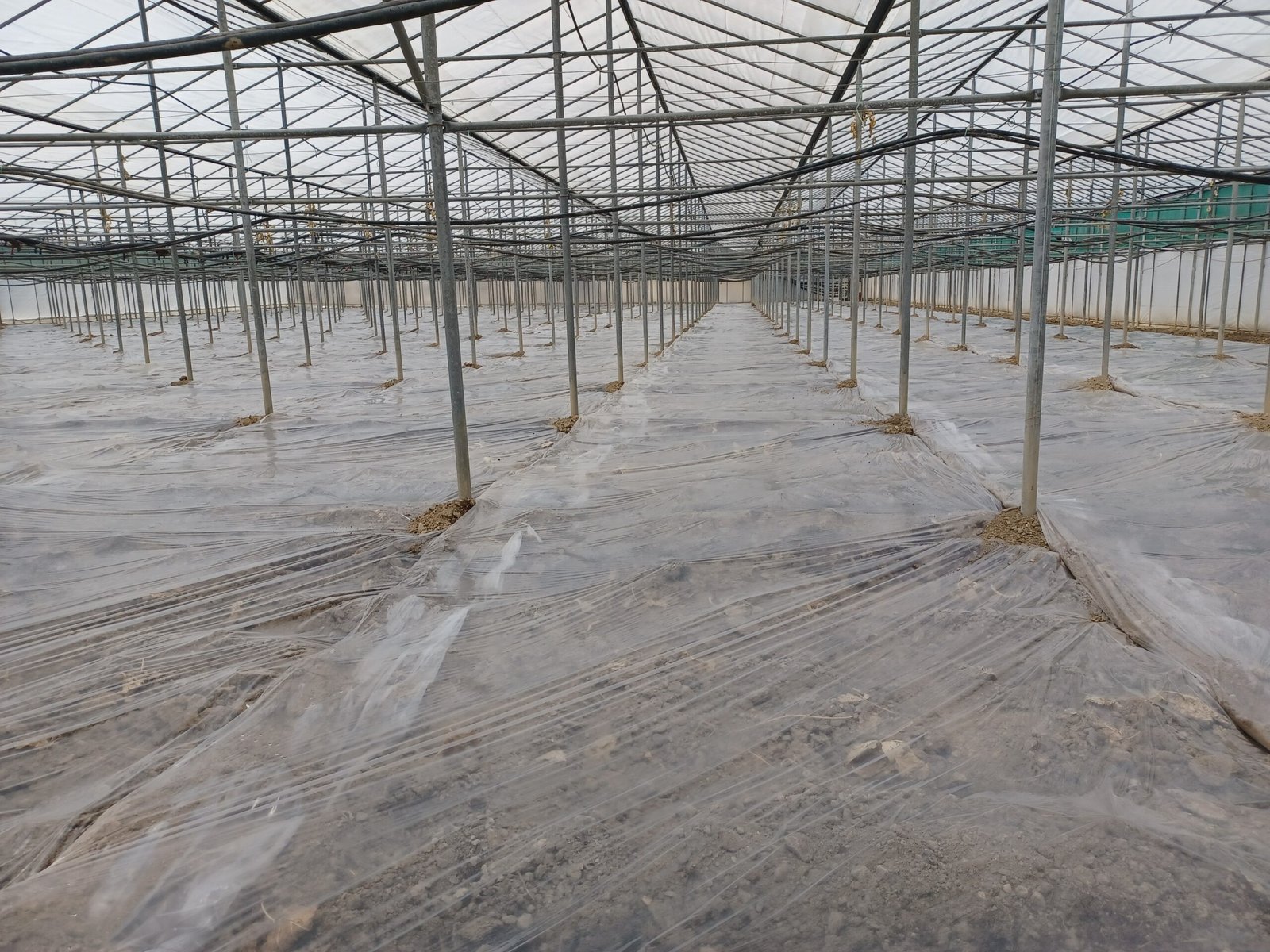 agrosol uvad arvi greenhouse achaika plastics Agrosol Clear Uv Ad 180=180/32/420 Φιλμ απλό εδαφοκάλυψης - Image 1