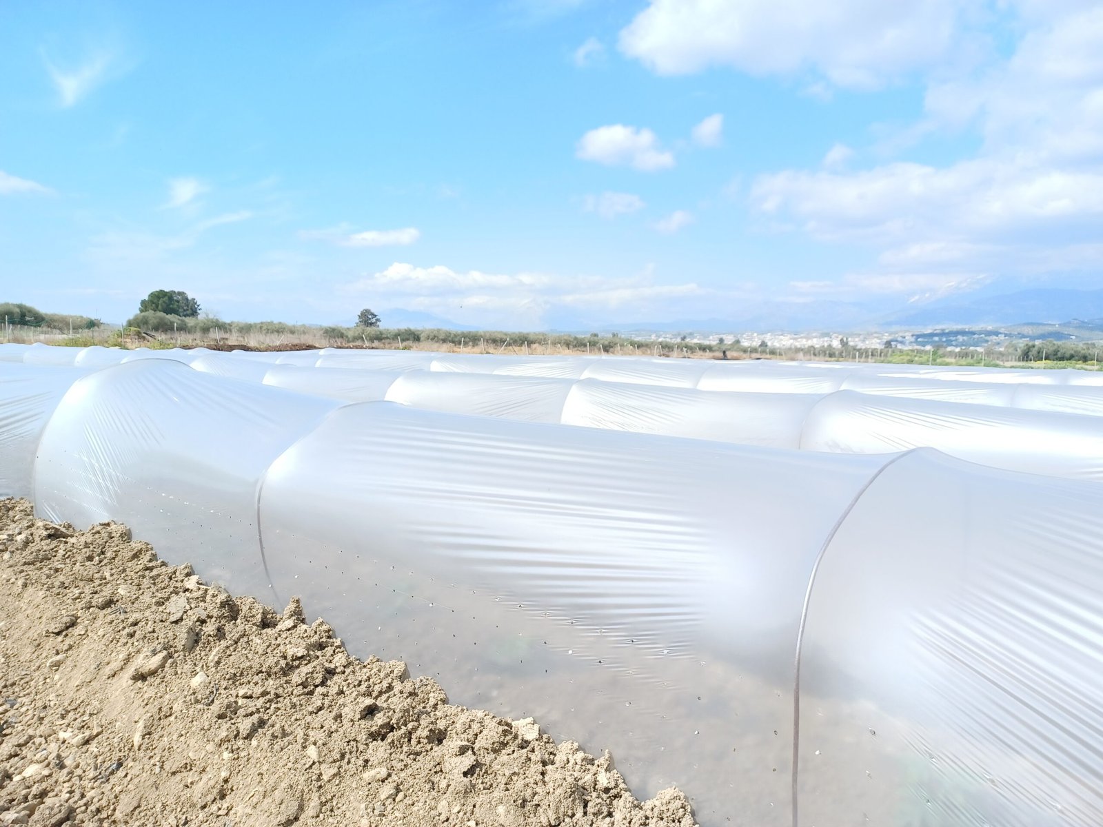 agrotherm me trypes Agrotherm ir θερμικό διαφανές 50 mic - Image 1