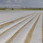 3A Agroplast διαφανές 30 micron