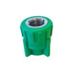 Μαστός θηλυκός