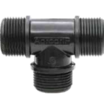 Σώμα Ταφ Αρσενικό