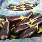 Σάκος Κηπευτικών 84Χ62Χ70/14 Hdpe Πράσινο