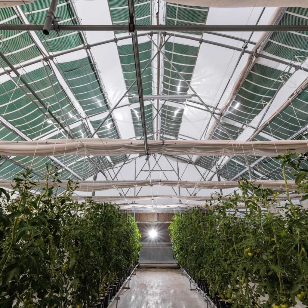 Εύκαμπτο φωτοβολταϊκό. Τα Αγροβολταϊκά από την ΟΕΤ.