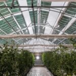 Εύκαμπτο φωτοβολταϊκό. Τα Αγροβολταϊκά από την ΟΕΤ.