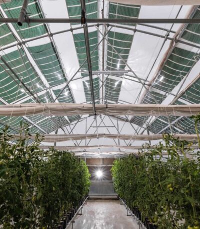 Εύκαμπτο φωτοβολταϊκό. Τα Αγροβολταϊκά από την ΟΕΤ.