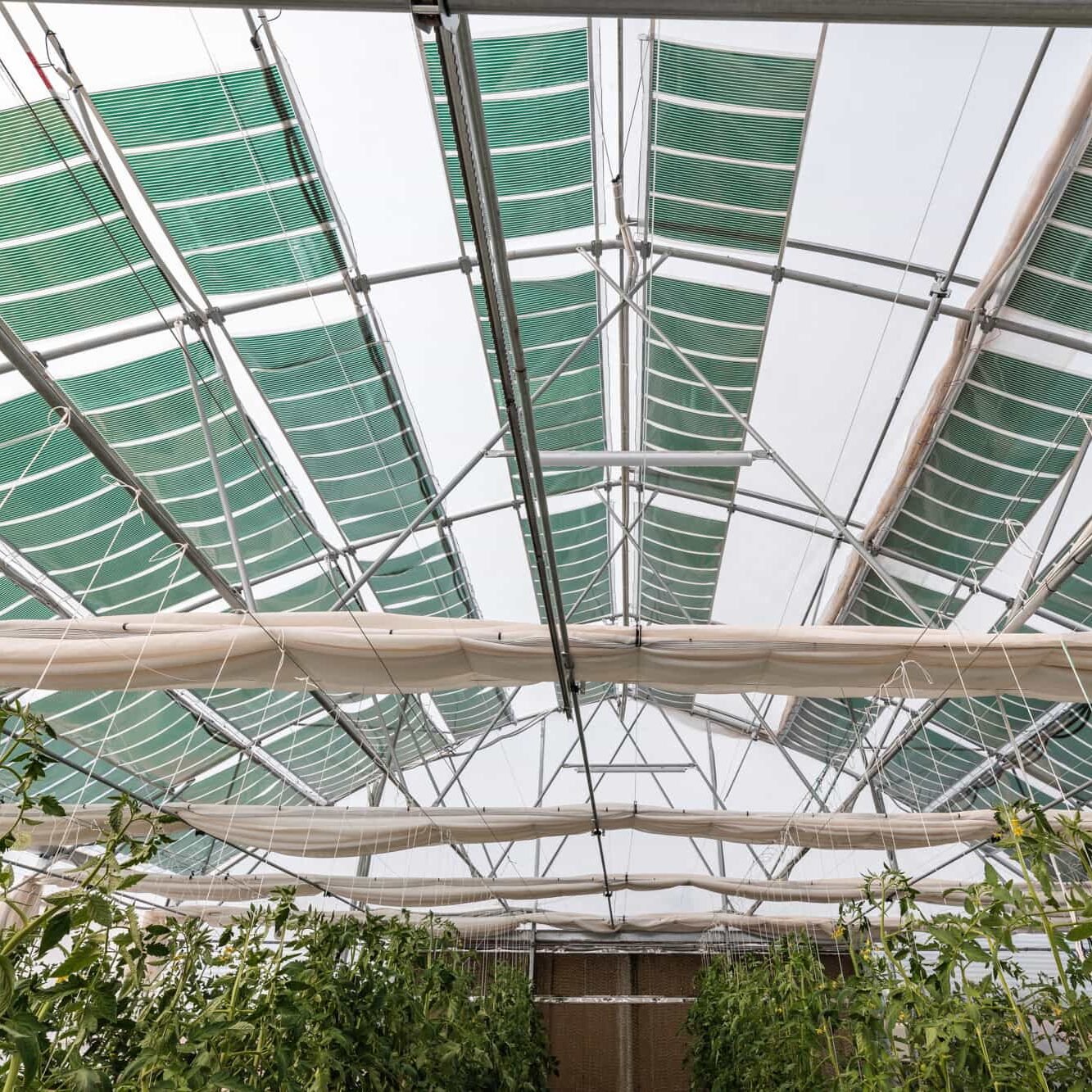 ηλιακή ενέργεια με αγροβολταϊκά