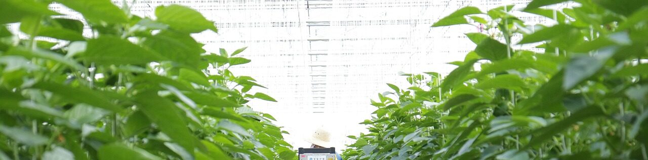 Αγροτικά Προϊόντα