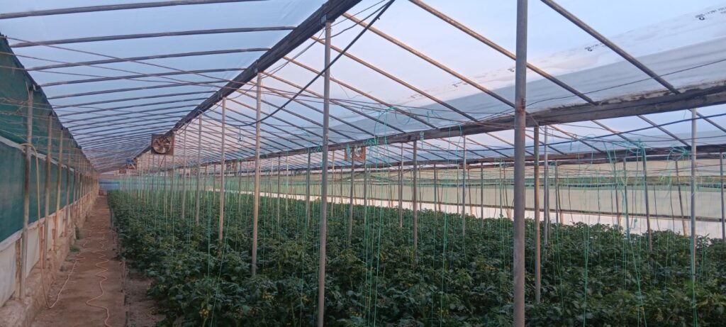 Η πρώτη υβριδική ψηφιακή πλατφόρμα πώλησης λιανικής και χονδρικής με σημείο παράδοσης τα καταστήματα λιανικής.