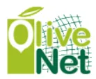 Olivenet