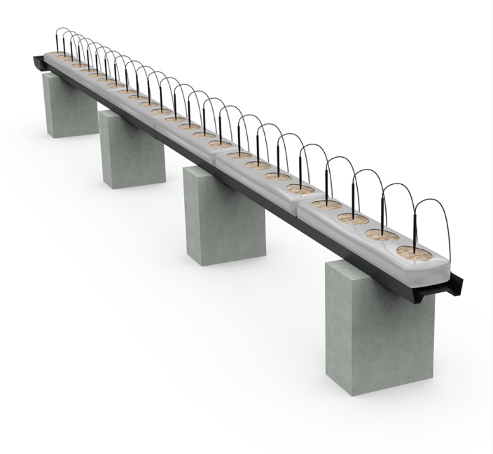 υδροπονική καλλιέργεια