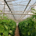 Reytec Plus Ad+Am 180 Mic 4 Season 7 Layers