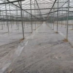 Agrosol Φιλμ Ηλιοαπολύμανσης 25μ Αντισταγονικό (AD) με UV Αντοχή 150 Ημέρες