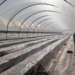 REYSOLL ΦΙΛΜ ΑΠΟΛΥΜΑΝΣΗΣ ΕΔΑΦΟΥΣ